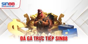 đá gà trực tiếp c1 thomo