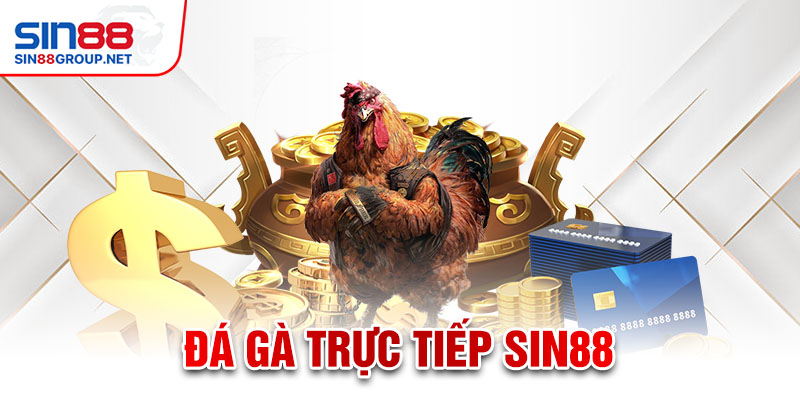 đá gà trực tiếp c1 thomo