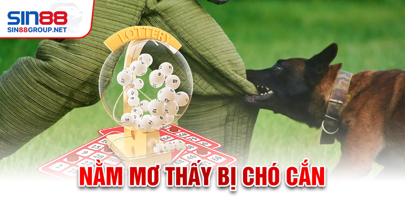 Nằm mơ thấy bị chó cắn