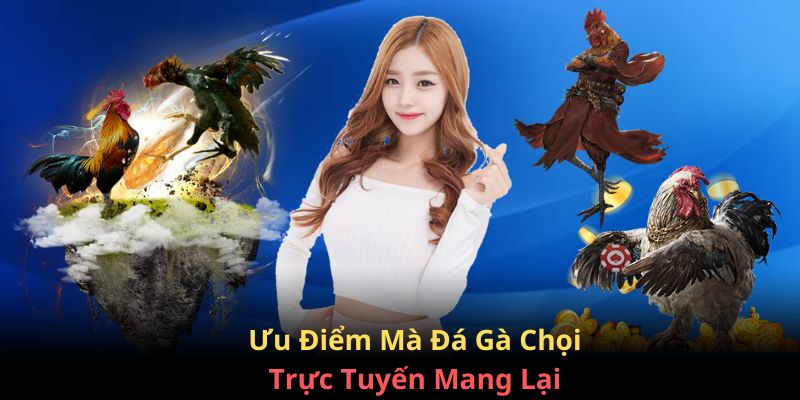 Những ưu điểm mà đá gà chọi trực tuyến mang lại