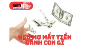 Ngủ mơ mất tiền đánh con gì